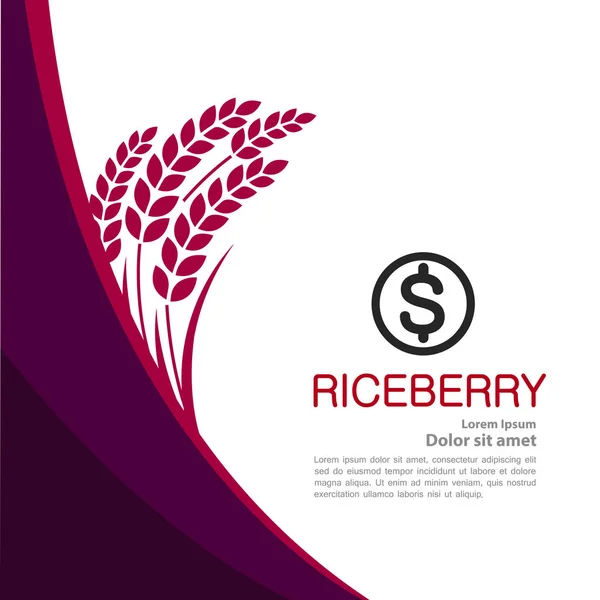 Premium Rice Berry Grande Vetor Conceito Design Qualidade — Vetor de Stock