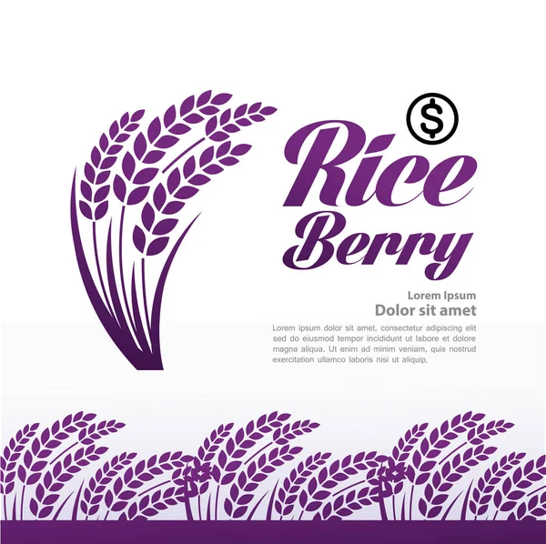 Premium Rice Berry Great Quality Design Concept Vector — Stock Vector