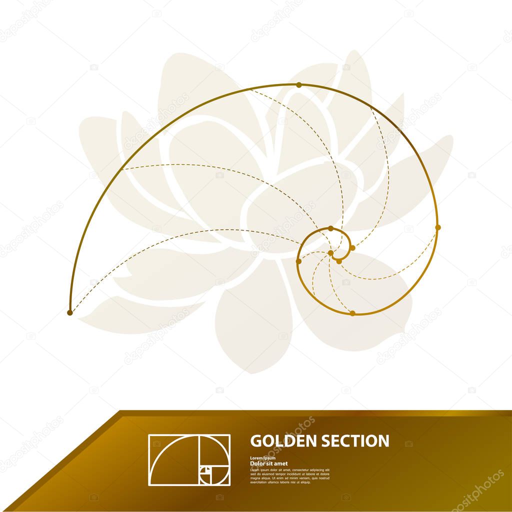 Golden ratio for creative design vector illustration.
