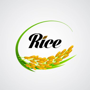 Premium Rice büyük kaliteli tasarım konsept vektör.