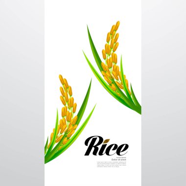 Premium Rice büyük kaliteli tasarım konsept vektör.