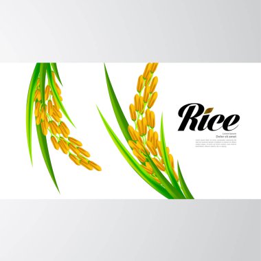 Premium Rice büyük kaliteli tasarım konsept vektör.