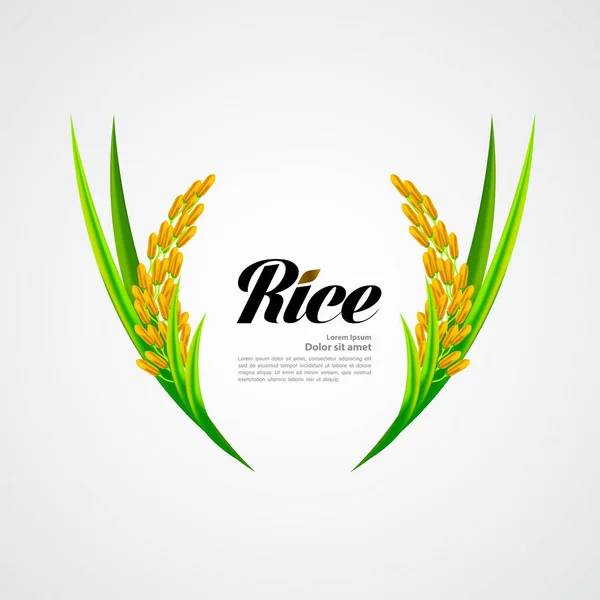 Premium Riz Concept Conception Grande Qualité Vecteur — Image vectorielle