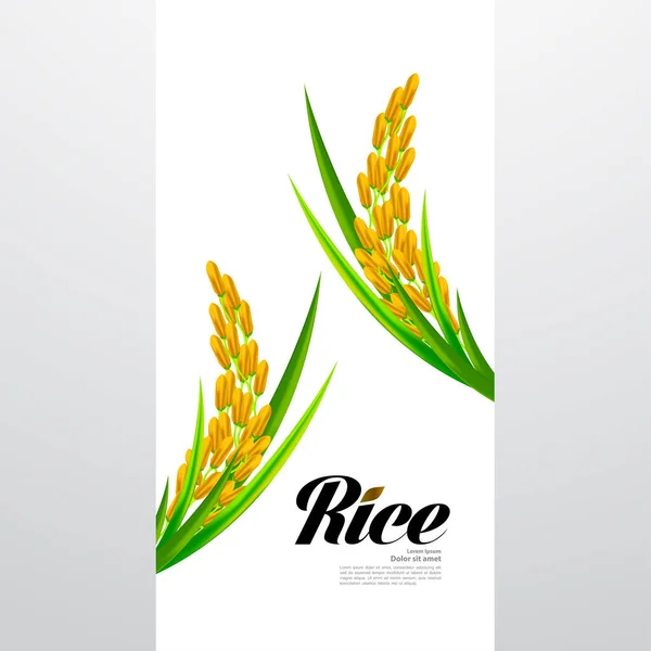 Premium Rice Vettore Del Concetto Design Grande Qualità — Vettoriale Stock