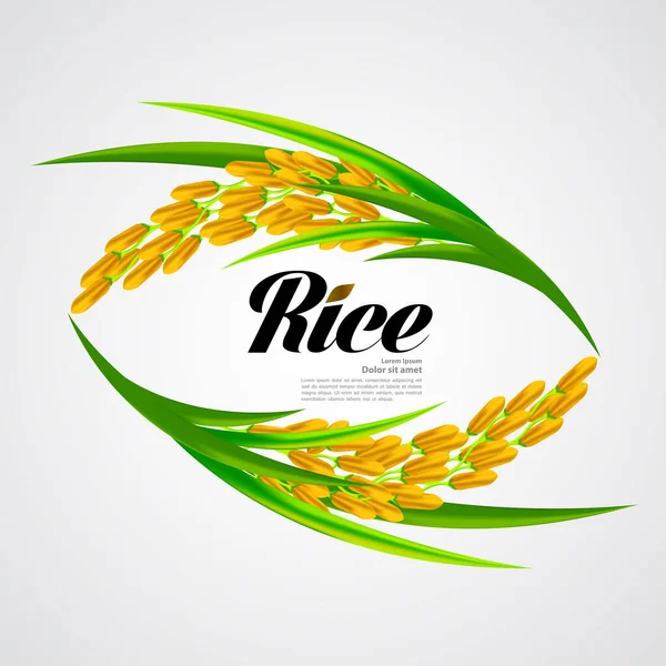 Rice Premium Vetor Conceito Design Grande Qualidade — Vetor de Stock