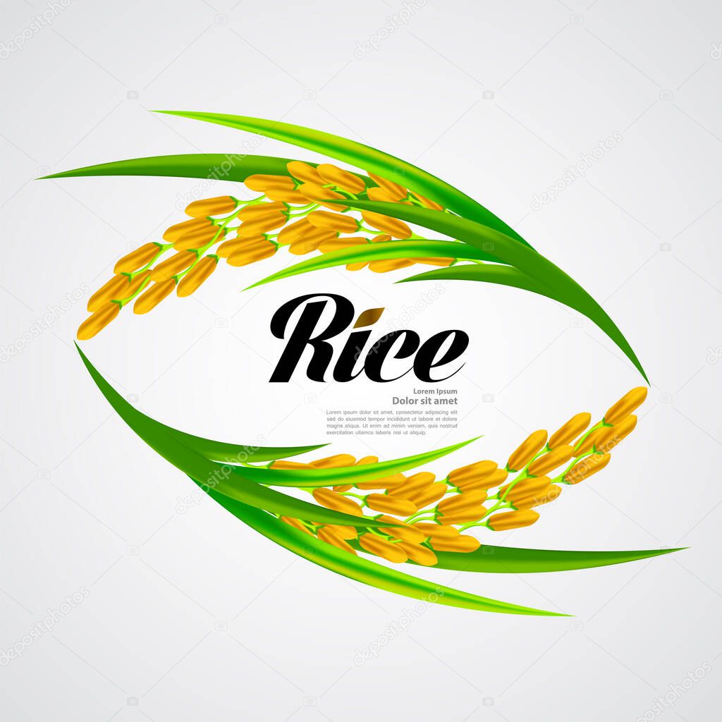 Premium Rice great quality design concept  vector.