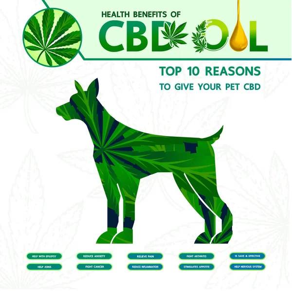 Cannabisvoordelen Voor Gezondheid Van Huisdieren Vector Illustratie — Stockvector