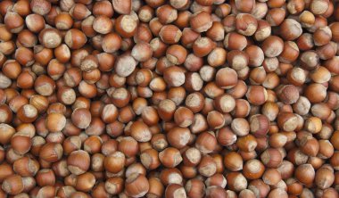 Çiftçi pazarındaki yeni mahsulün olgun fındıkları..