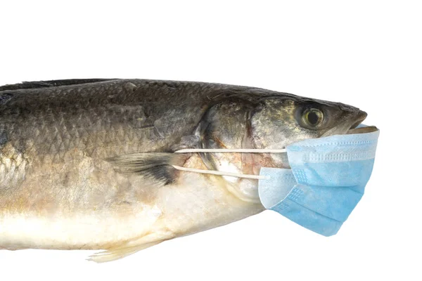 Vis in het medische masker van blauwe kleur — Stockfoto