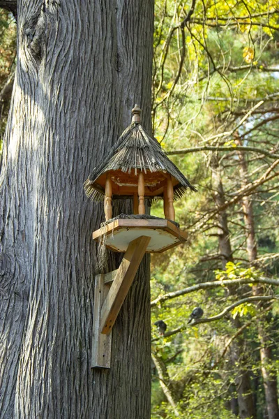 Birdhouse en un árbol en el verano. el tronco de un árbol frutal con una casa de pájaros. concepto de vacaciones Día Internacional de las Aves . — Foto de Stock