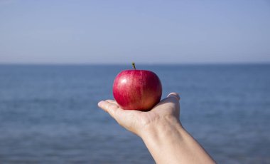 Denize karşı kırmızı elma elindeydi. Doğal ve organik meyvelerin eko-turizm ve tüketimi. Eğlence ve ekoloji arasındaki uyumu kavrayın. Temel olarak bitkisel gıdalara dayalı diyet.