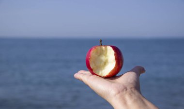 red bitten Apple in hand against the sea.  ecotourism and consumption of natural and organic fruits. Concept harmony between recreation and ecology. diet based primarily on plant-based foods. clipart