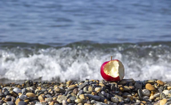 Rött Bet Apple Stenig Strand Mot Havet Ekoturism Och Konsumtion — Stockfoto