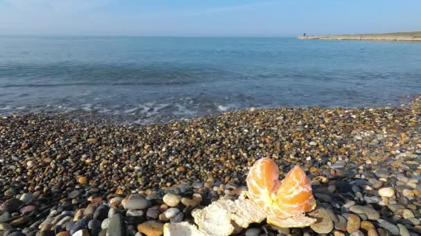 Laranja Encontra Uma Praia Seixos Contra Mar Ecoturismo Consumo Frutas — Vídeo de Stock