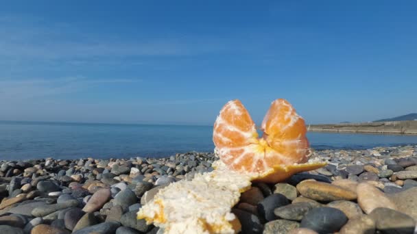 Naranja Encuentra Una Playa Guijarros Contra Mar Ecoturismo Consumo Frutas — Vídeo de stock