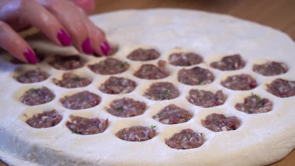 Maak Knoedels Met Hand Zelfgemaakte Knoedels Ravioli Met Vlees Vrouwelijke — Stockvideo