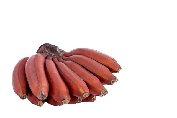 新鲜的红香蕉 白色背景隔离 有红紫色皮肤的香蕉品种群 Musa Acuminata Red Dacca 比黄香蕉含有更多 胡萝卜素和维生素C的品种 — 图库照片
