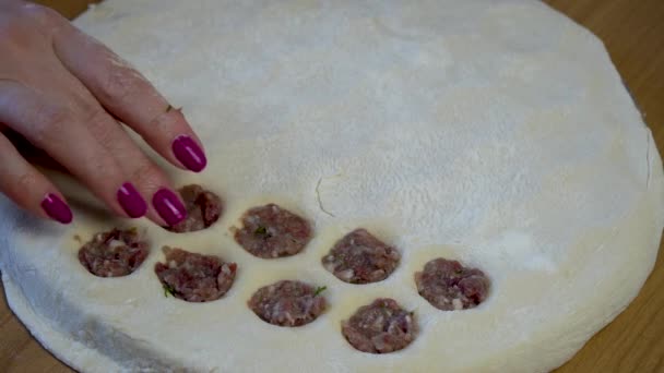 Maak Knoedels Met Hand Zelfgemaakte Knoedels Ravioli Met Vlees Vrouwelijke — Stockvideo