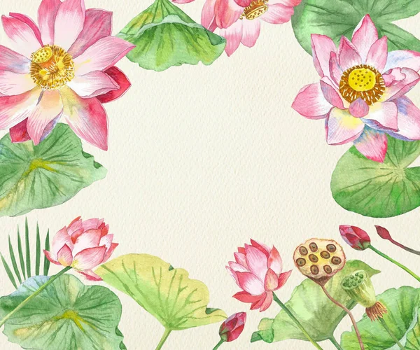 Lotus Flowers. Hand drawn illustration — Stock Photo, Image