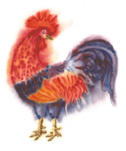 Watercolor Rooster. Hand drawn illustration — Stock Photo, Image