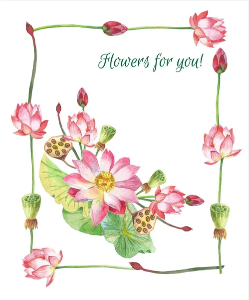 Lotusblumen. Handgezeichnete Illustration — Stockfoto