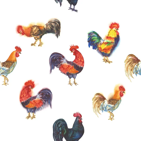 Watercolor Roosters. Hand drawn illustration — Stock Photo, Image