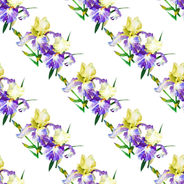 Patrón sin costura con iris de colores —  Fotos de Stock
