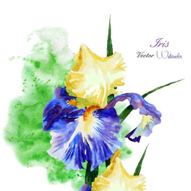 Iris ile yeşil suluboya arka plan-02