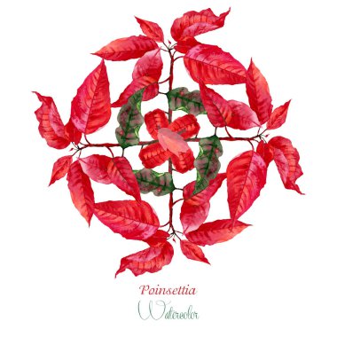 Arka plan ile kırmızı Atatürk çiçeği