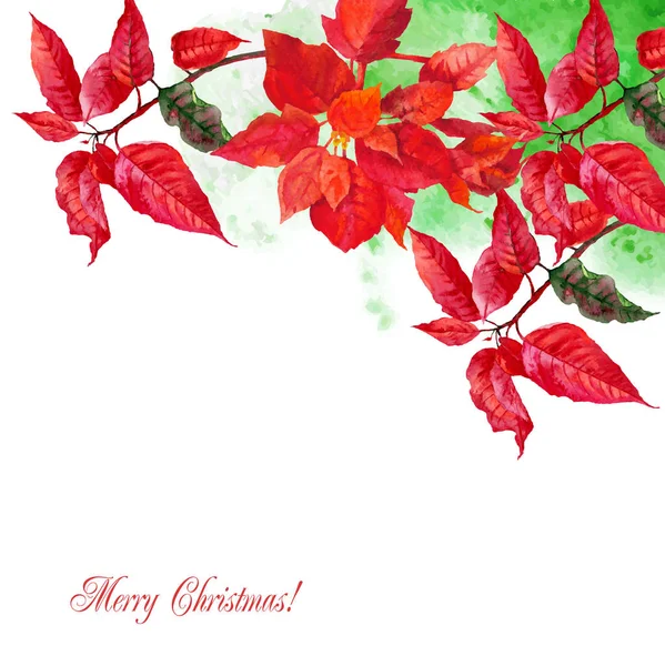 Fondo con poinsettia roja — Vector de stock