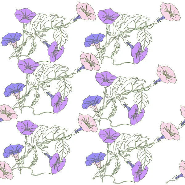 Patrón sin costura con bindweed rosa azul — Archivo Imágenes Vectoriales