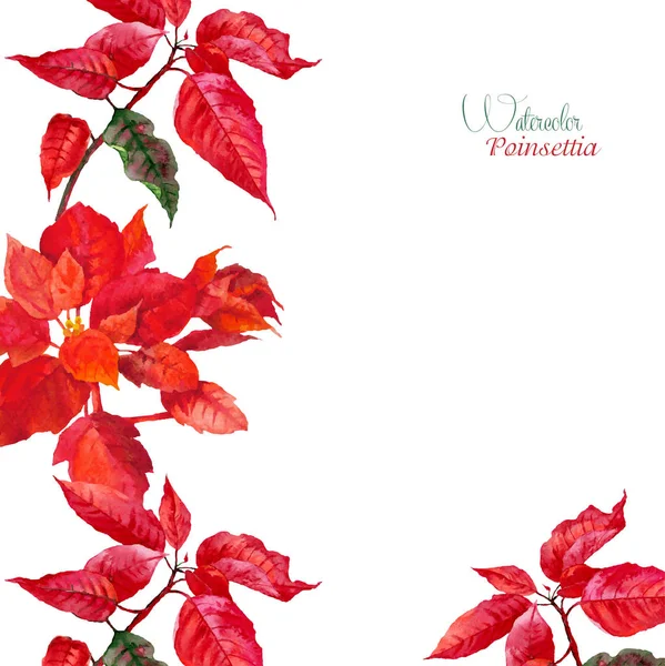 Fondo con poinsettia roja — Vector de stock