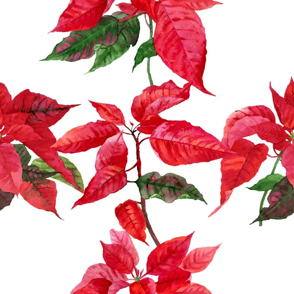 Modello senza cuciture con poinsettia-03 — Vettoriale Stock