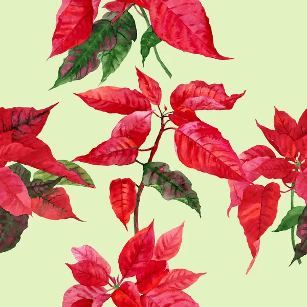 Бесшовный рисунок с Poinsettia — стоковый вектор