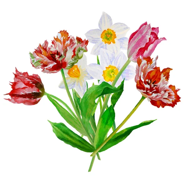 Ramo de tulipanes y narcisos-01 — Archivo Imágenes Vectoriales