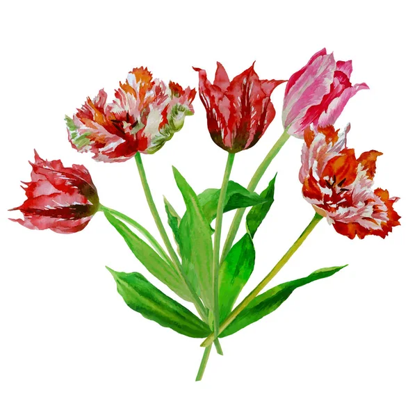Fondo con ramo de tulipanes-01 — Archivo Imágenes Vectoriales