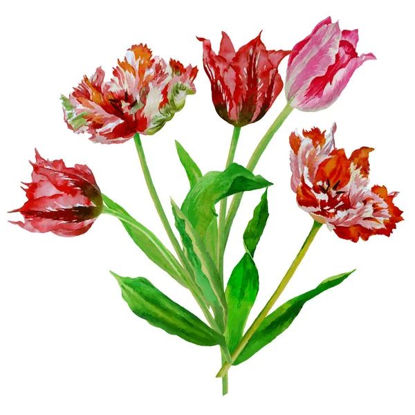 Achtergrond met boeket tulpen-02 — Stockvector