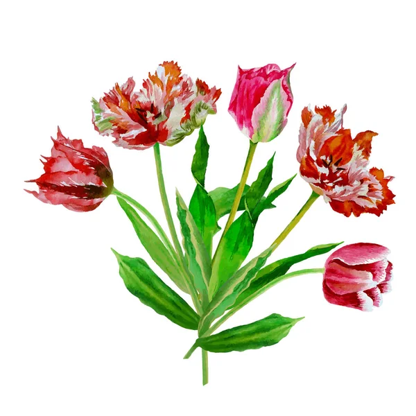Hintergrund mit Strauß Tulpen-03 — Stockvektor