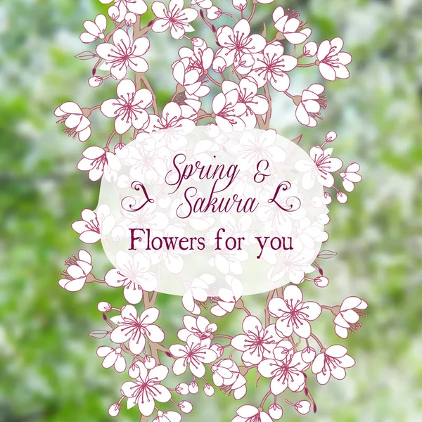 Sakura ile bahar arka plan — Stok Vektör