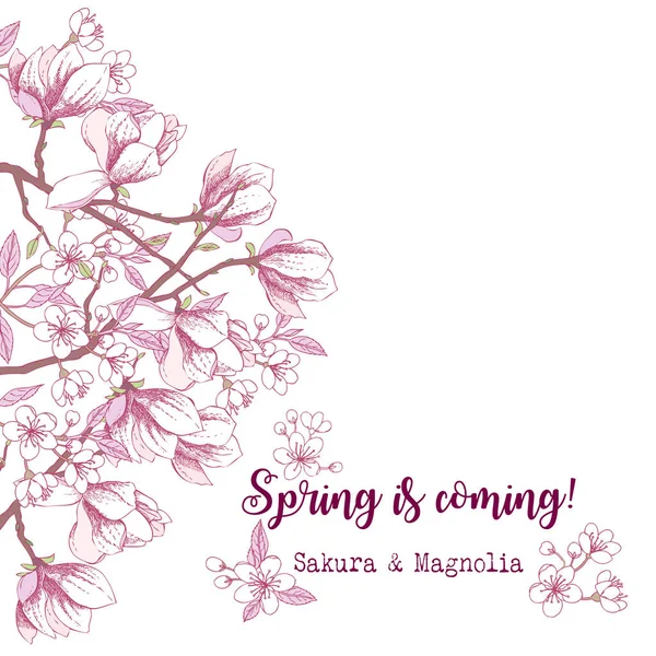 Bahar Sakura ve Manolya arka plan