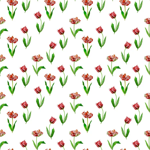 Nahtloses Muster mit Tulpen — Stockfoto
