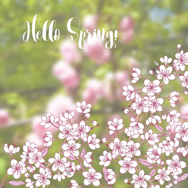Fondo de primavera con sakura — Archivo Imágenes Vectoriales