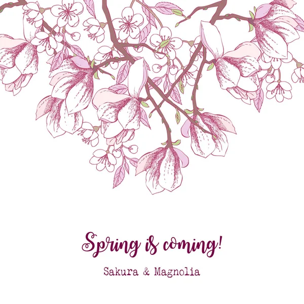 พื้นหลัง Sakura และ Magnolia ฤดูใบไม้ผลิ — ภาพเวกเตอร์สต็อก