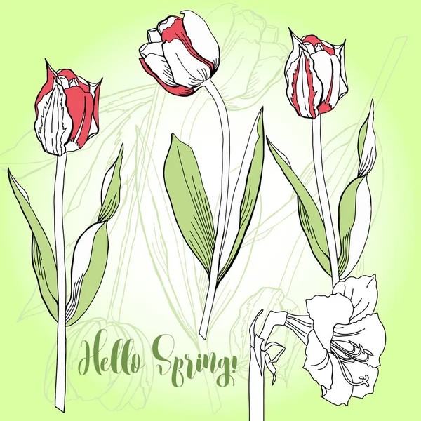 Fondo de primavera con tulipanes. — Archivo Imágenes Vectoriales