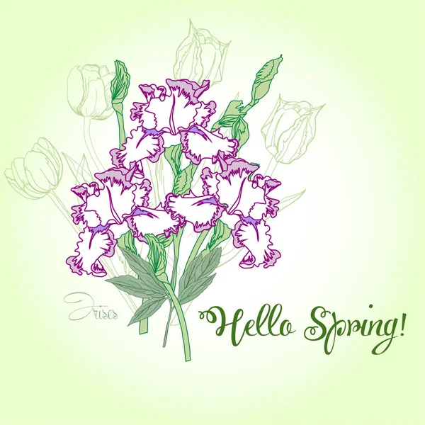 Ramo de primavera con tres iris . — Archivo Imágenes Vectoriales