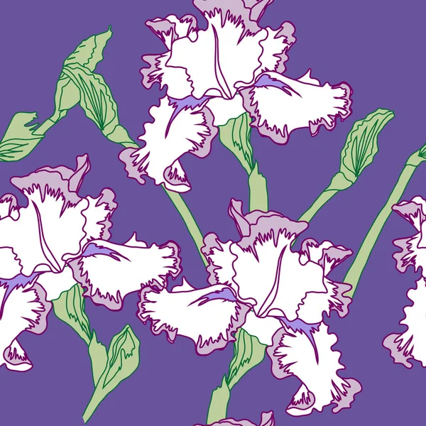 Seamless mönster med Iris. Våren — Stock vektor