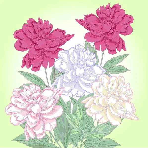 Bouquet with white and pink peonies.Spring — Stock Vector