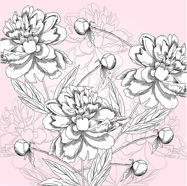 Spring  background with black and white peony. — Stock Vector