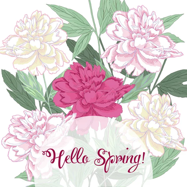 Fondo de primavera con peonía blanca y rosa — Archivo Imágenes Vectoriales