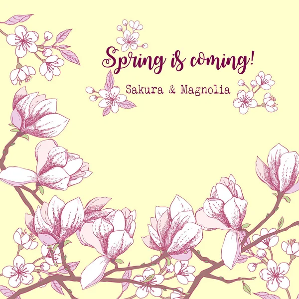 Pozadí s sakura a magnolia — Stockový vektor